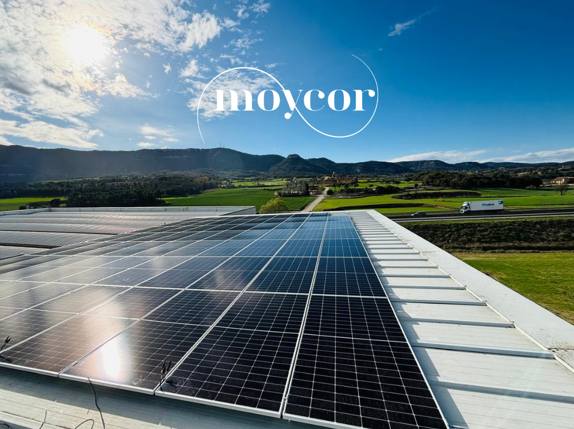 Instalación fotovoltaica de 50kW en Moycor